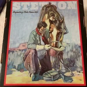Stetson | Accessories | Stetson Chevron Chocolate | Poshmark display picture 1